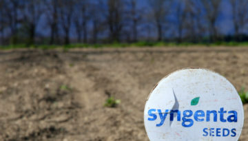 syngenta_seeds