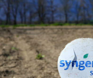 syngenta_seeds