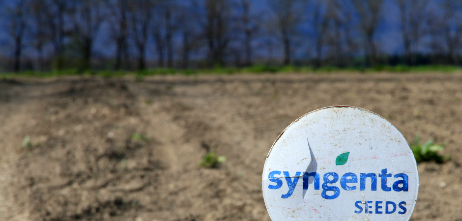 syngenta_seeds