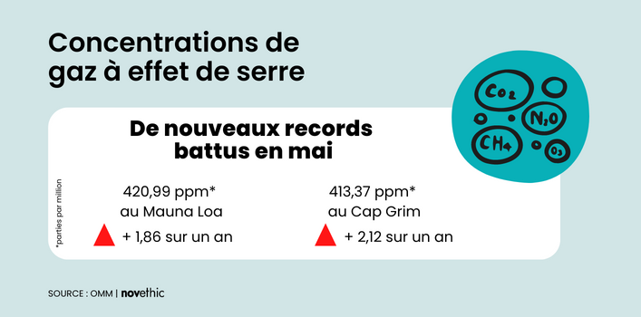 infographie OMM/Novethic - Concepcion Alvarez @conce1