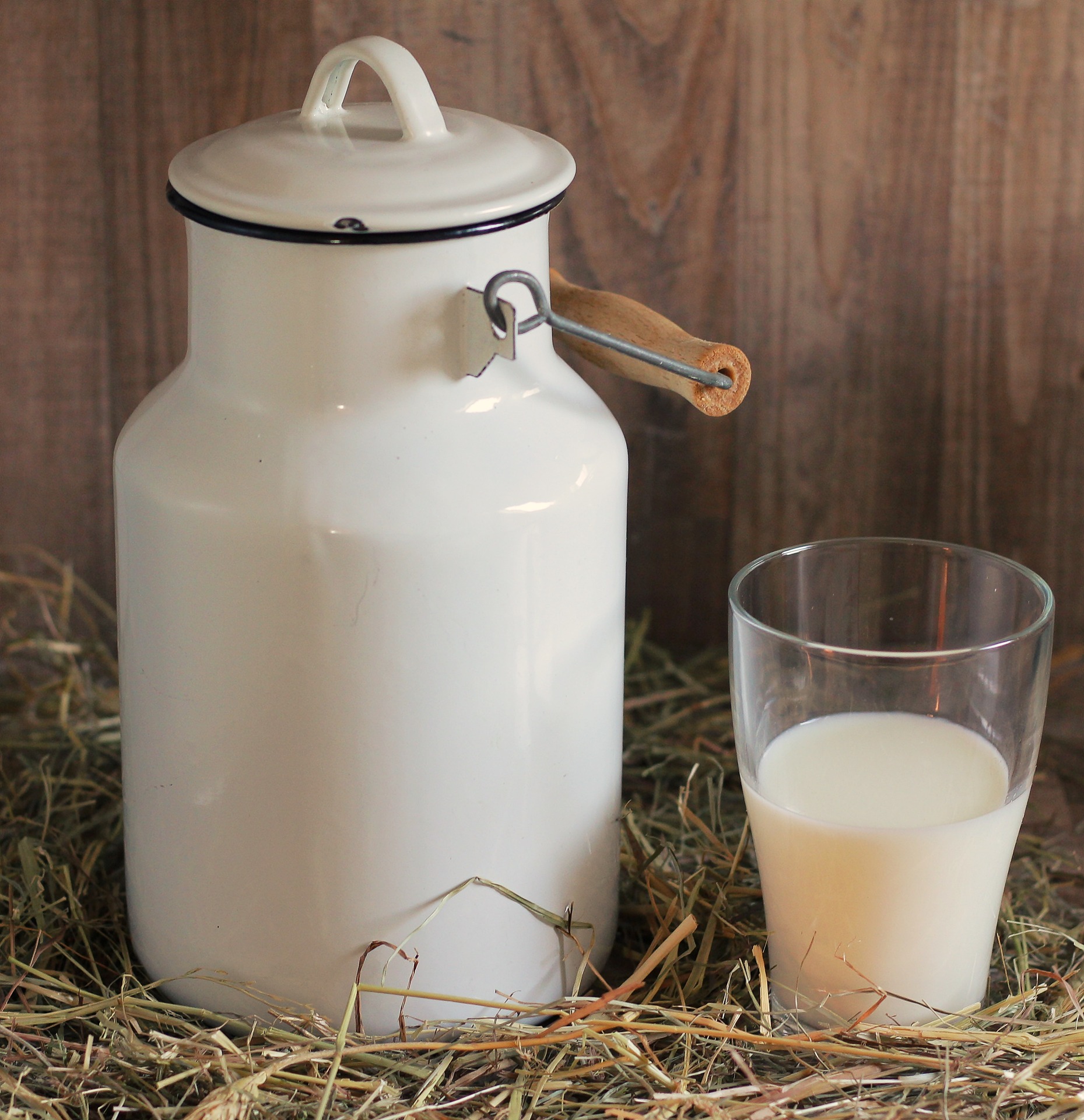 article lait